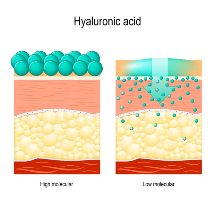 Lợi ích của axit hyaluronic trong các sản phẩm dưỡng da