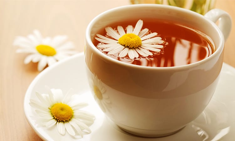 trà hoa cúc khắc phục da khô